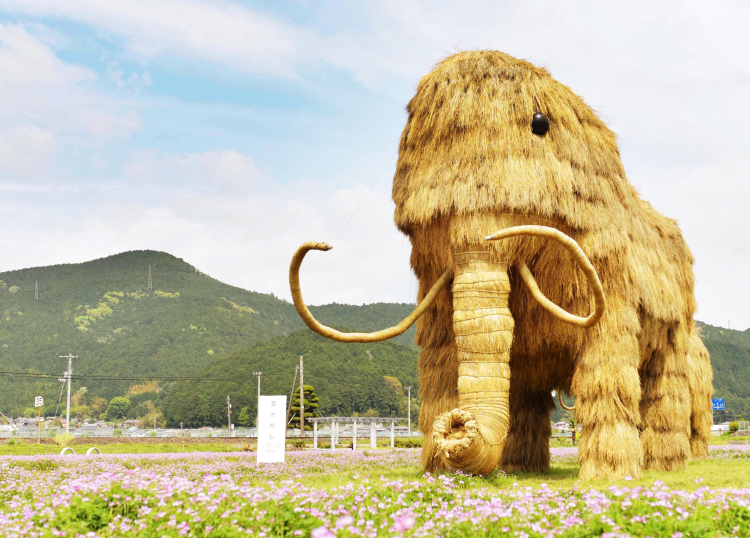 西予市の風景