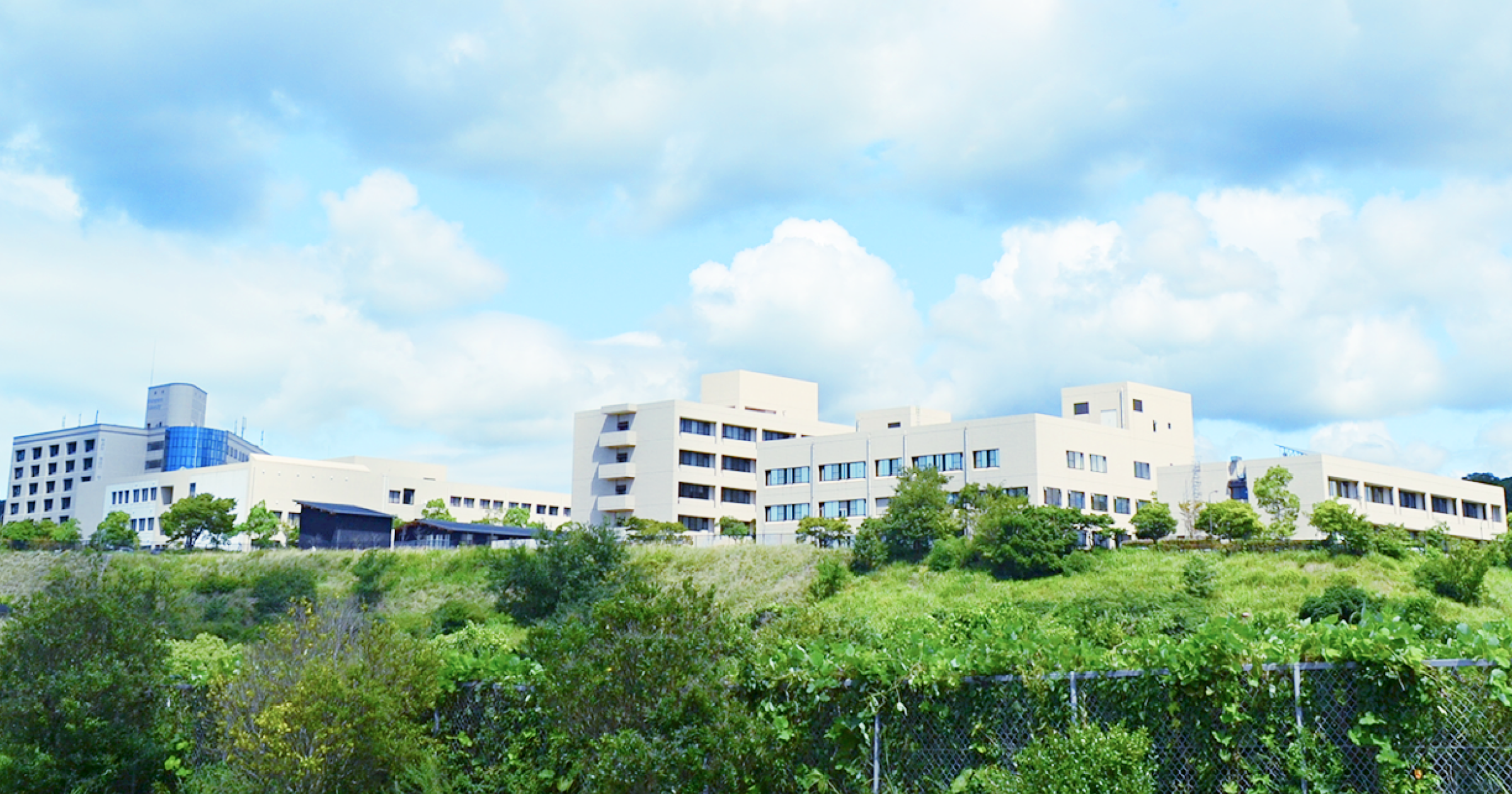 国立大学法人 和歌山大学 の企業情報 - FAVTOWN パートナー企業
