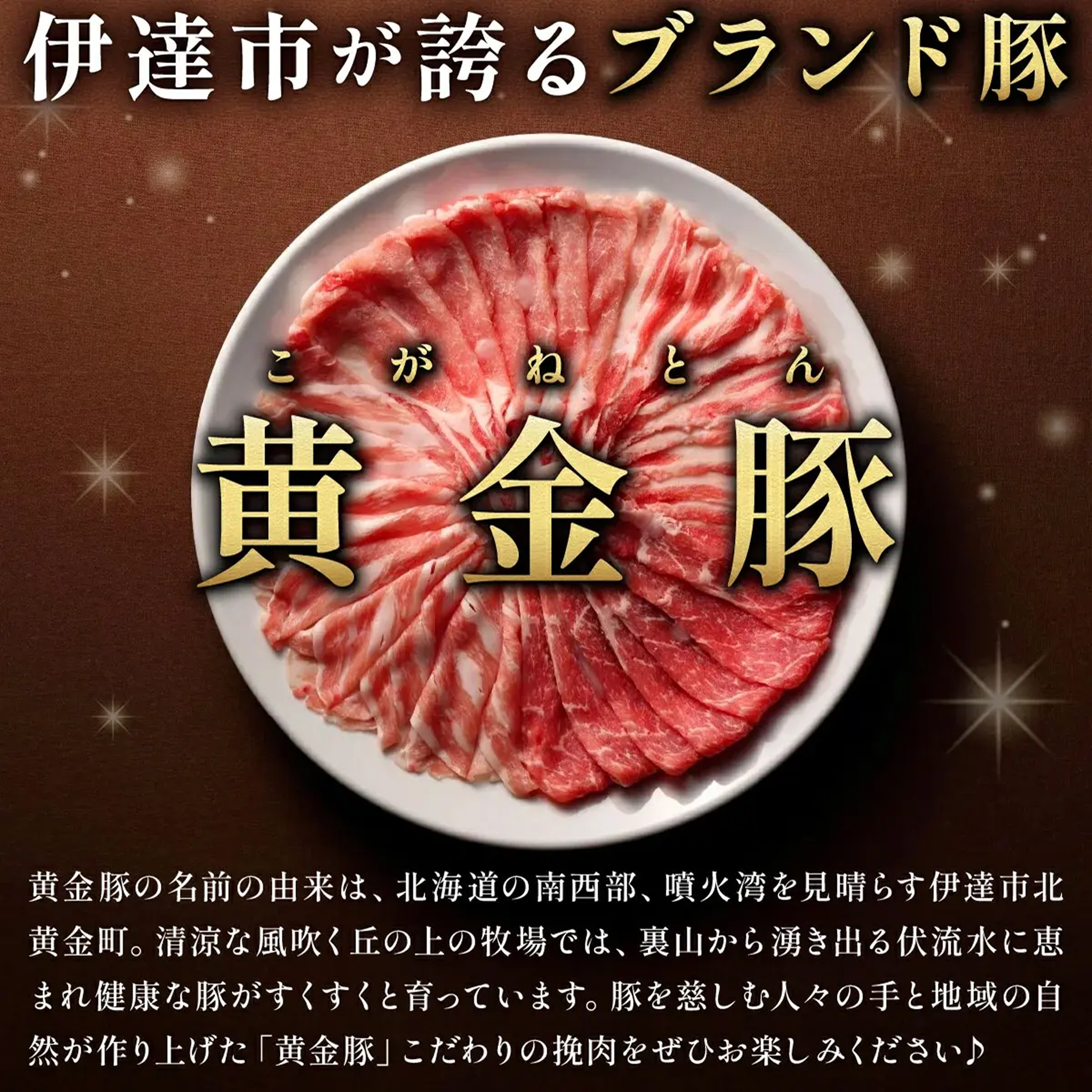 A賞 黄金豚(ひき肉・切り落とし)