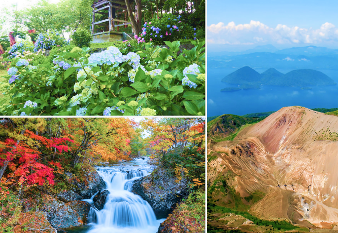 伊達市応援イメージ